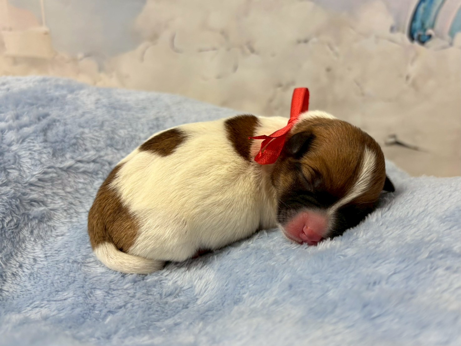 赤ちゃん写真1-2