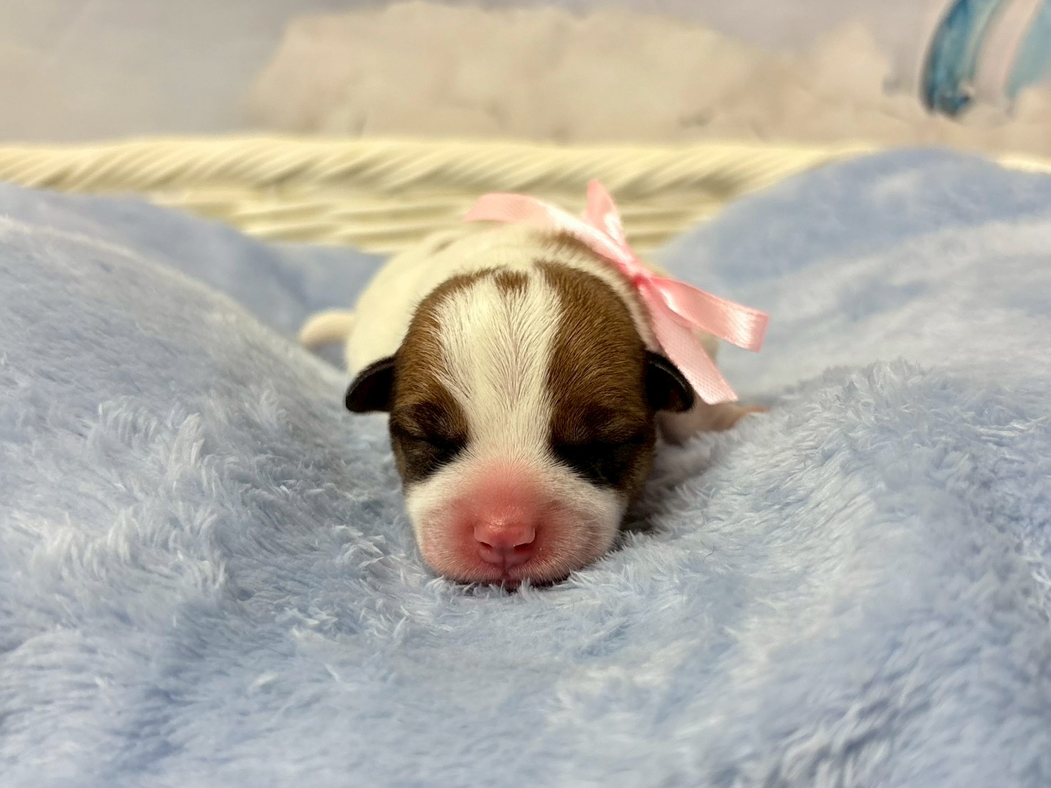 赤ちゃん写真1-1