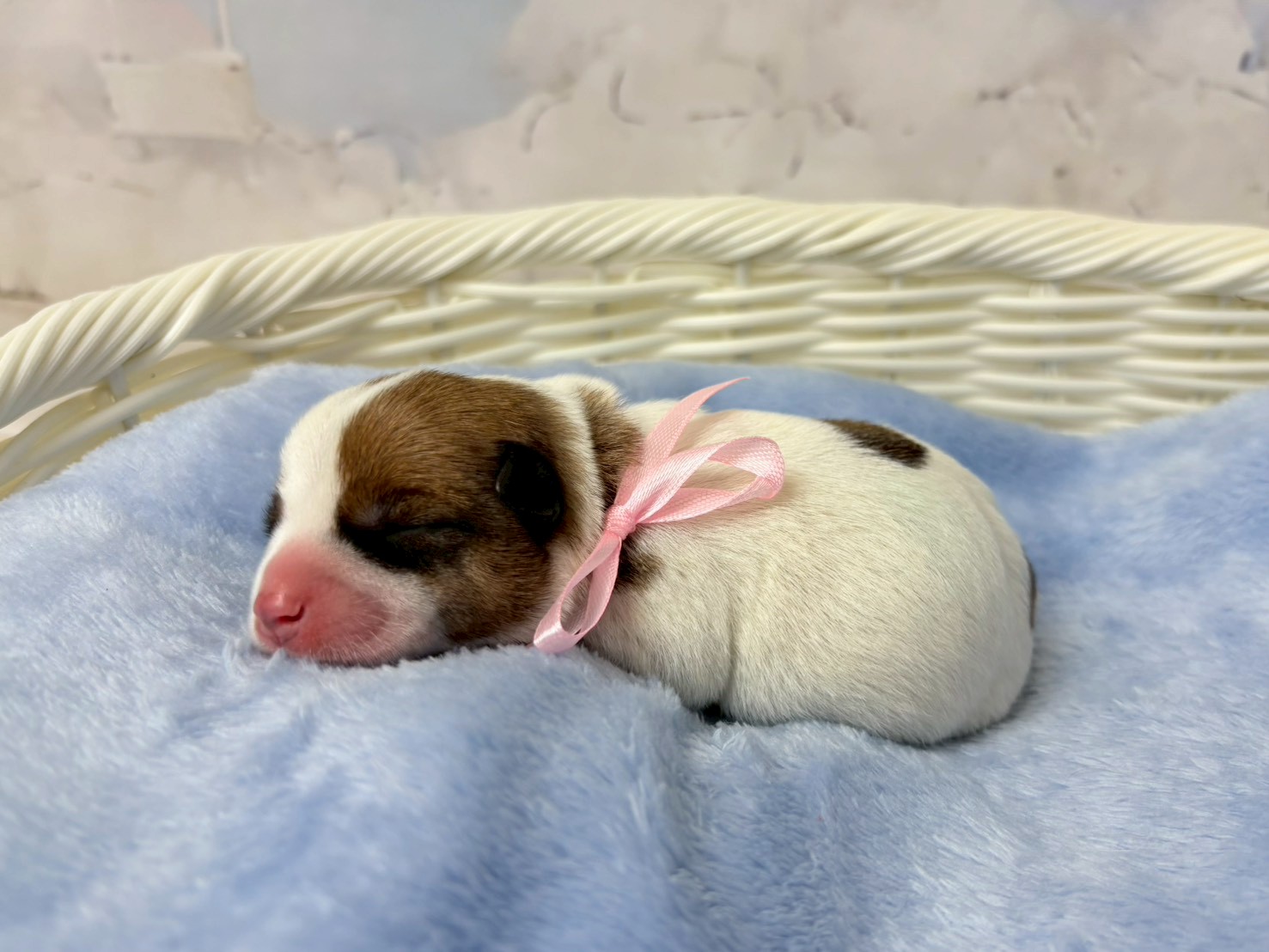 赤ちゃん写真1-2