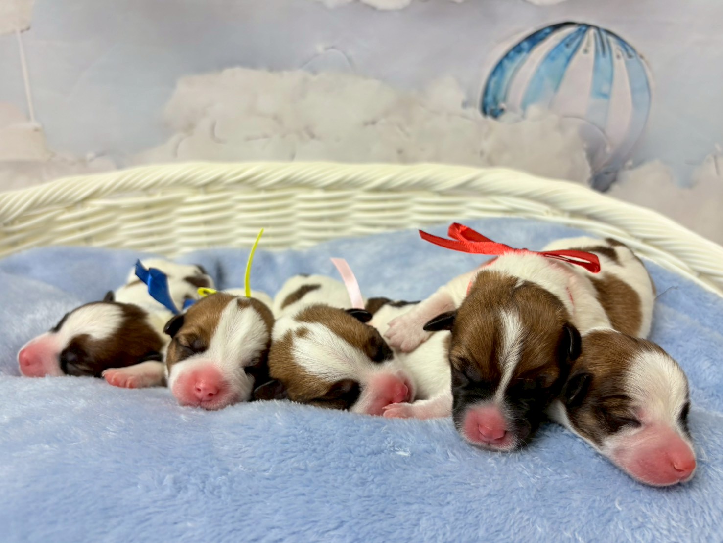 赤ちゃん写真1-3