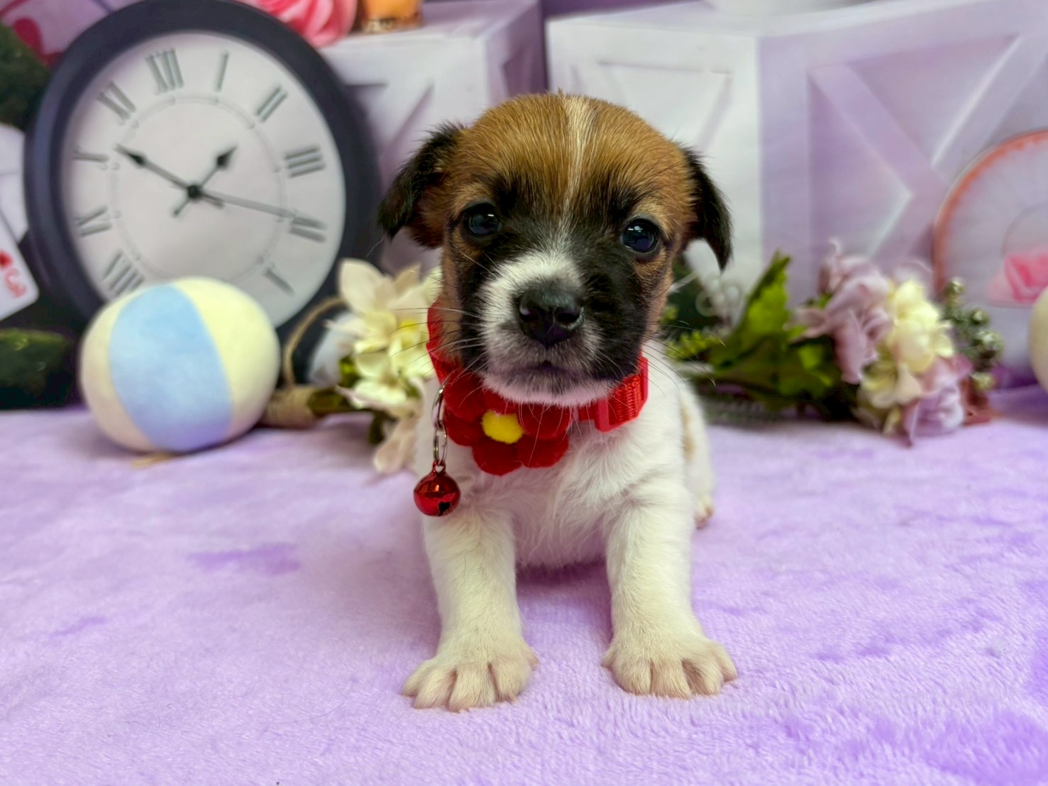 赤ちゃん写真2-1