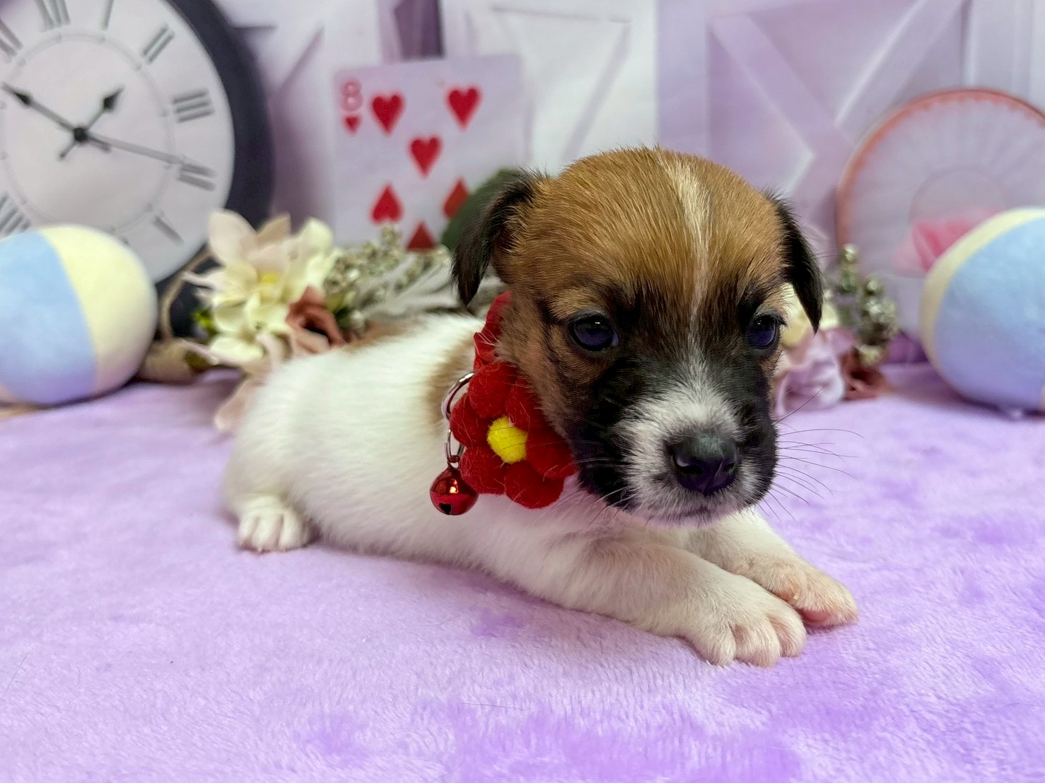 赤ちゃん写真2-2