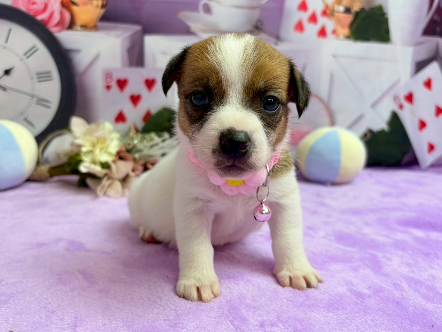 赤ちゃん写真2-1