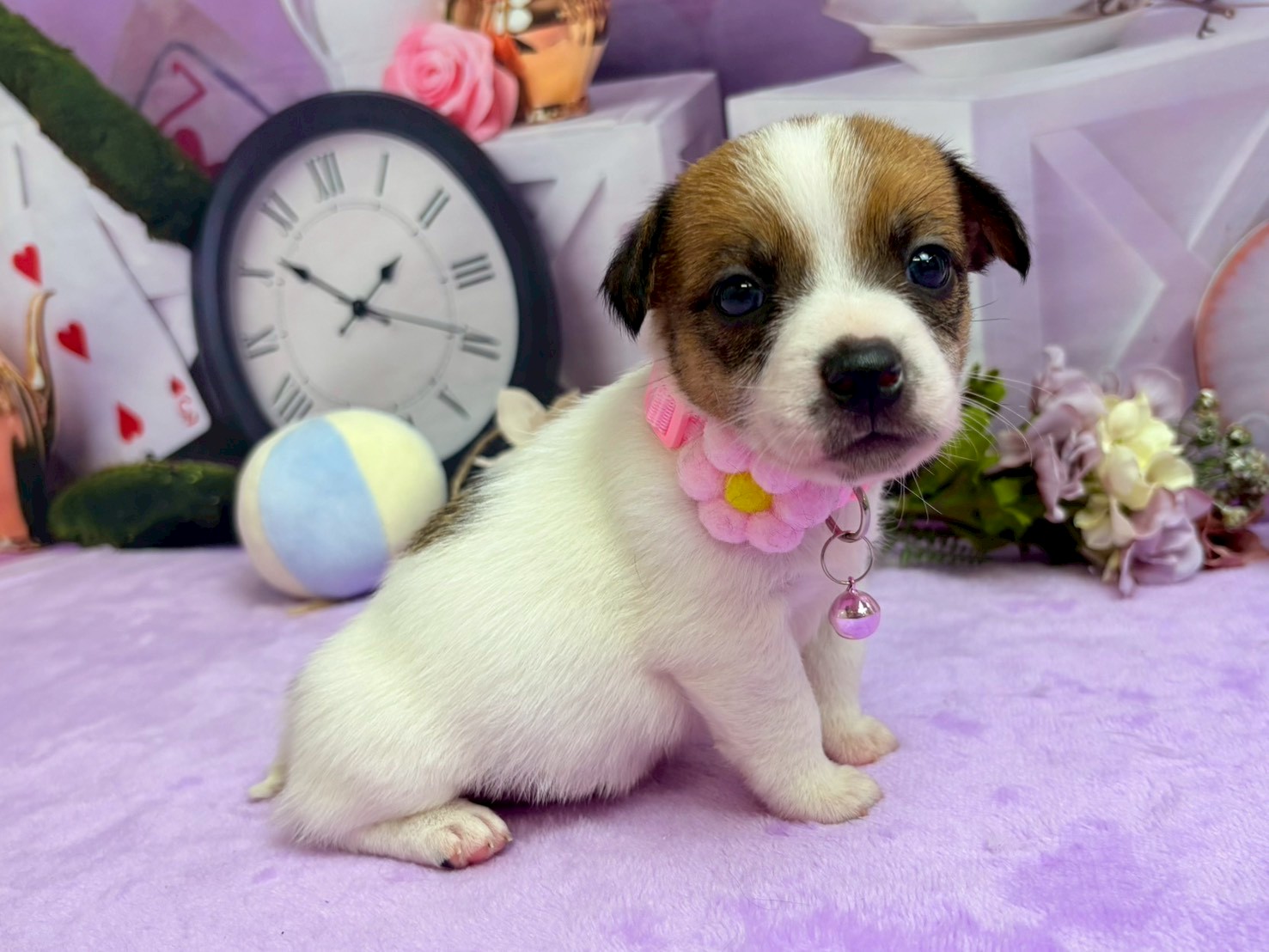 赤ちゃん写真2-2