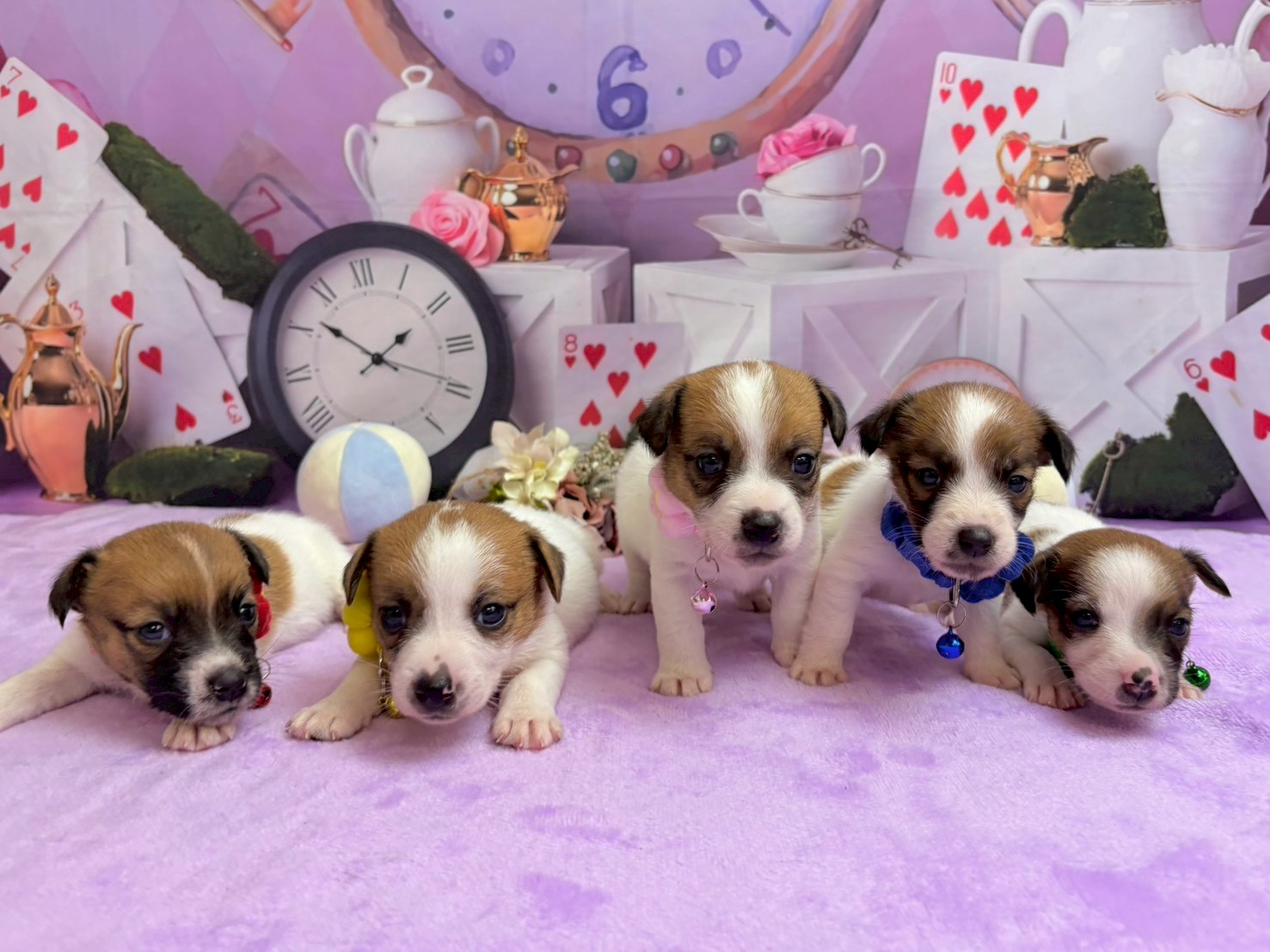 赤ちゃん写真2-3