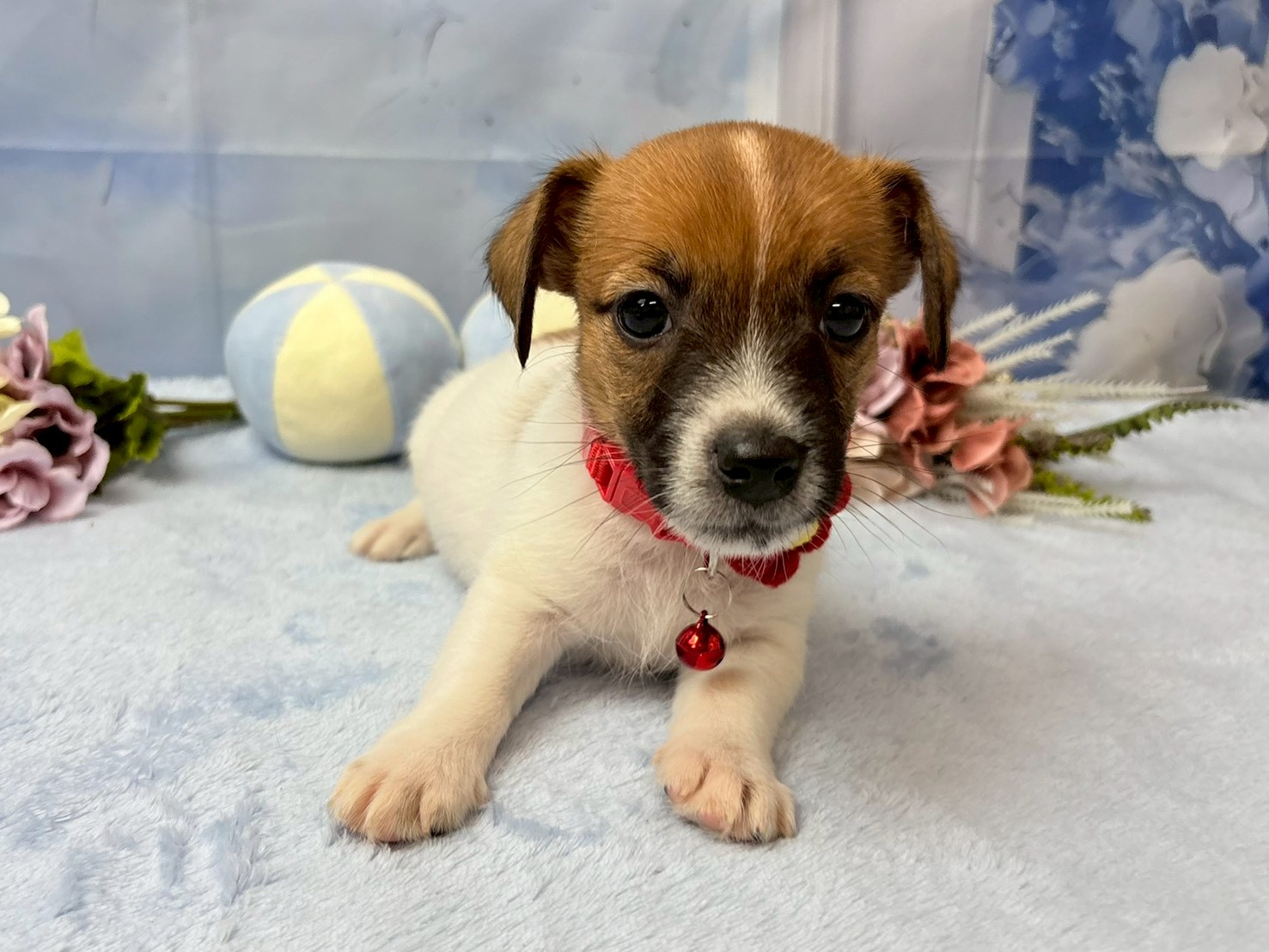 赤ちゃん写真3-1