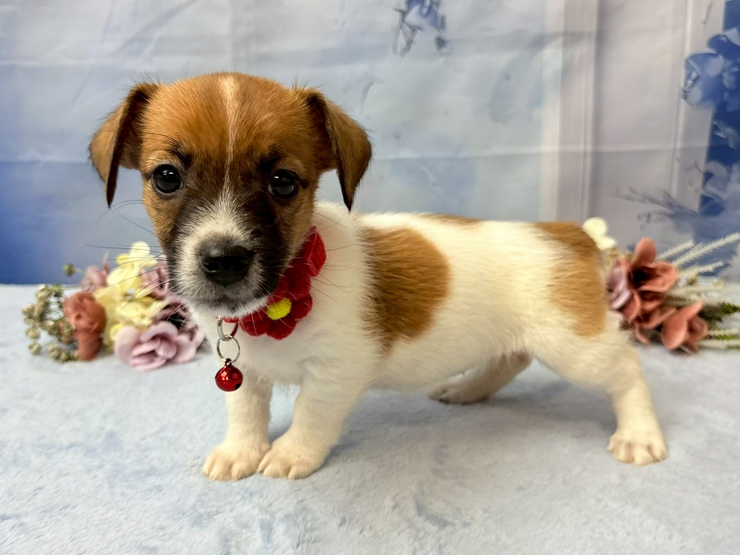 赤ちゃん写真3-2