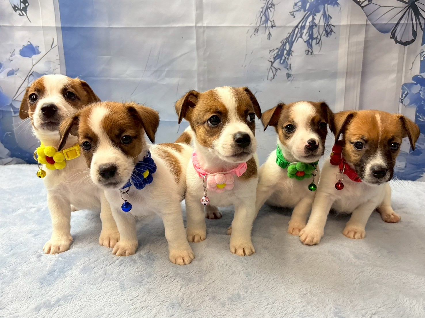 赤ちゃん写真3-3