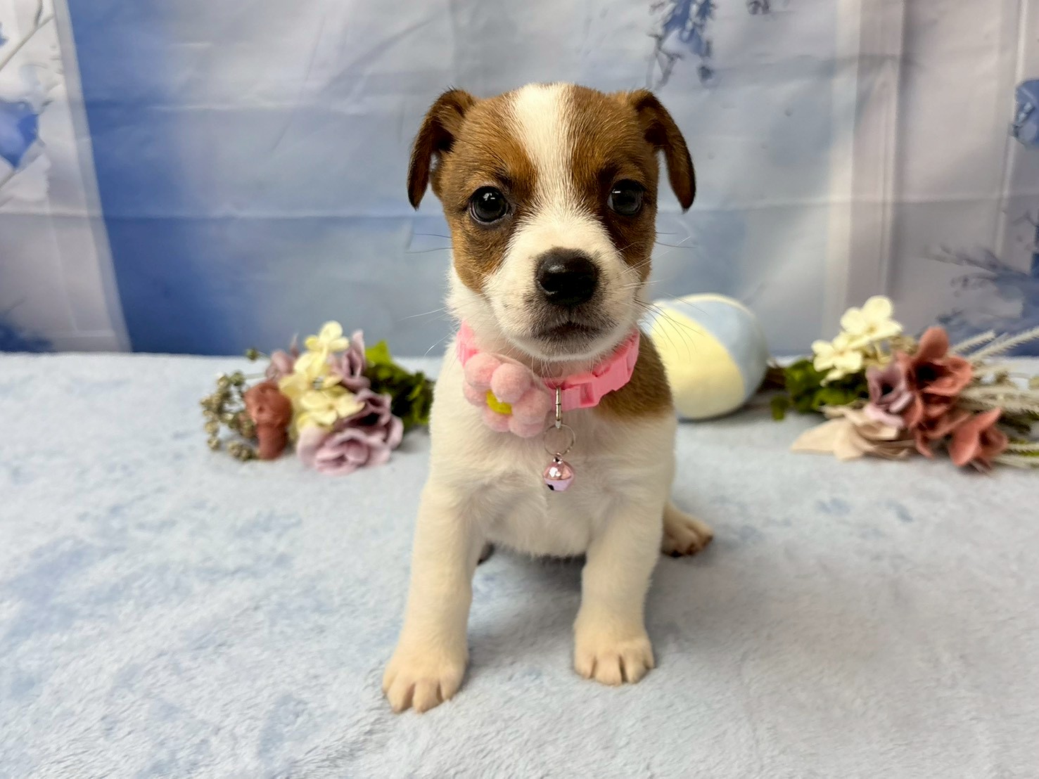 赤ちゃん写真3-1