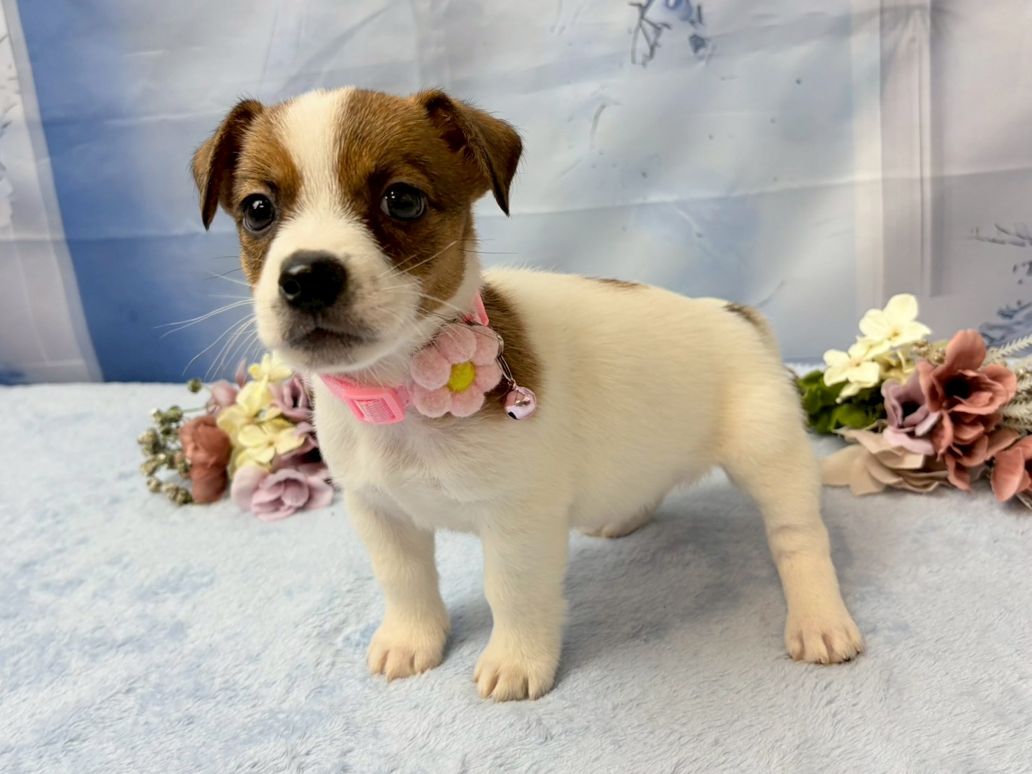 赤ちゃん写真3-2