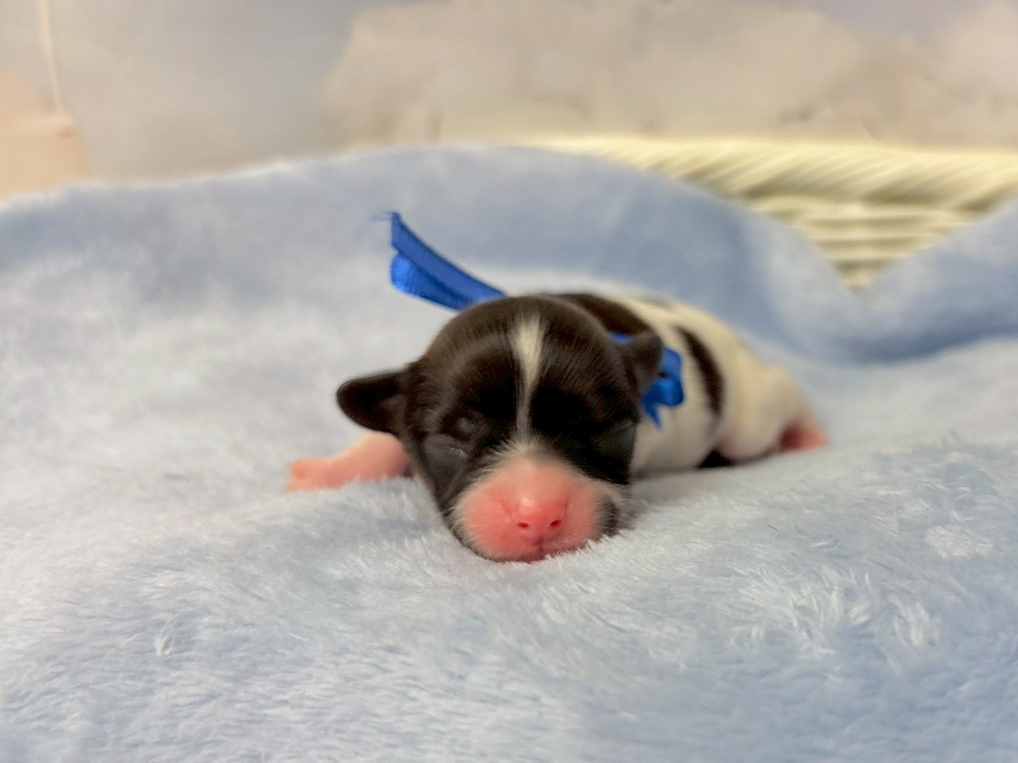 赤ちゃん写真1-1