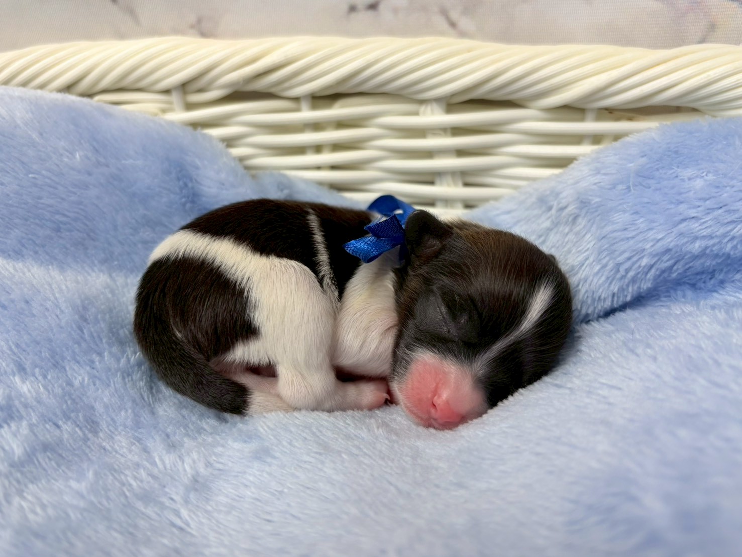 赤ちゃん写真1-2