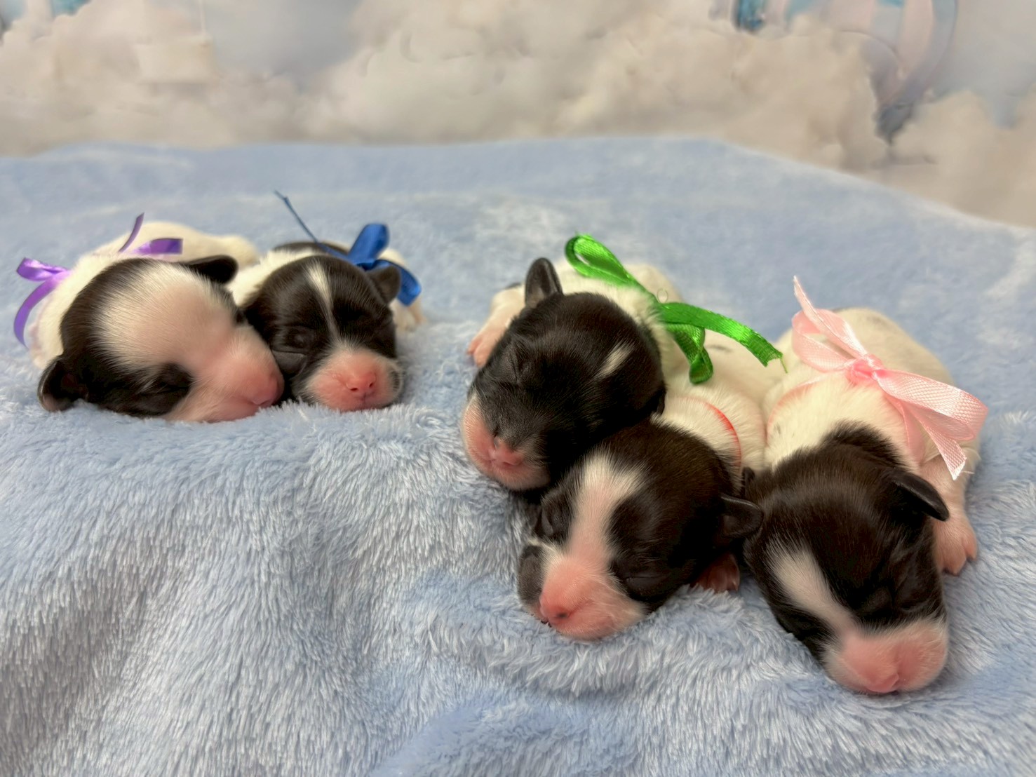 赤ちゃん写真1-3