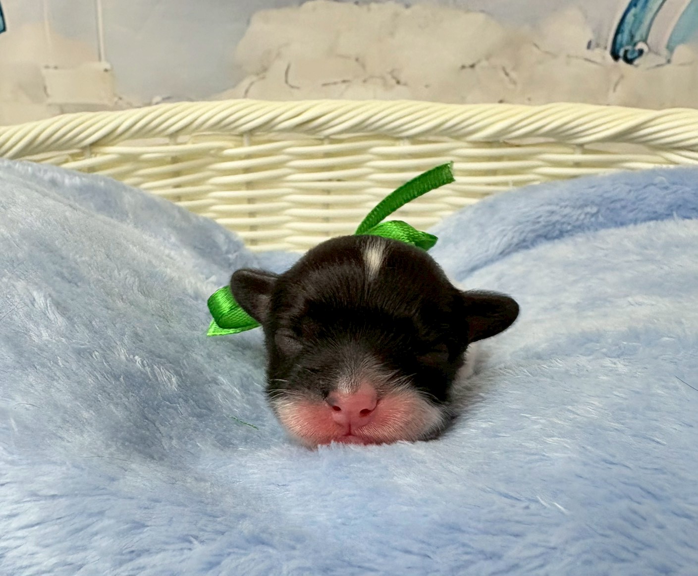 赤ちゃん写真1-1