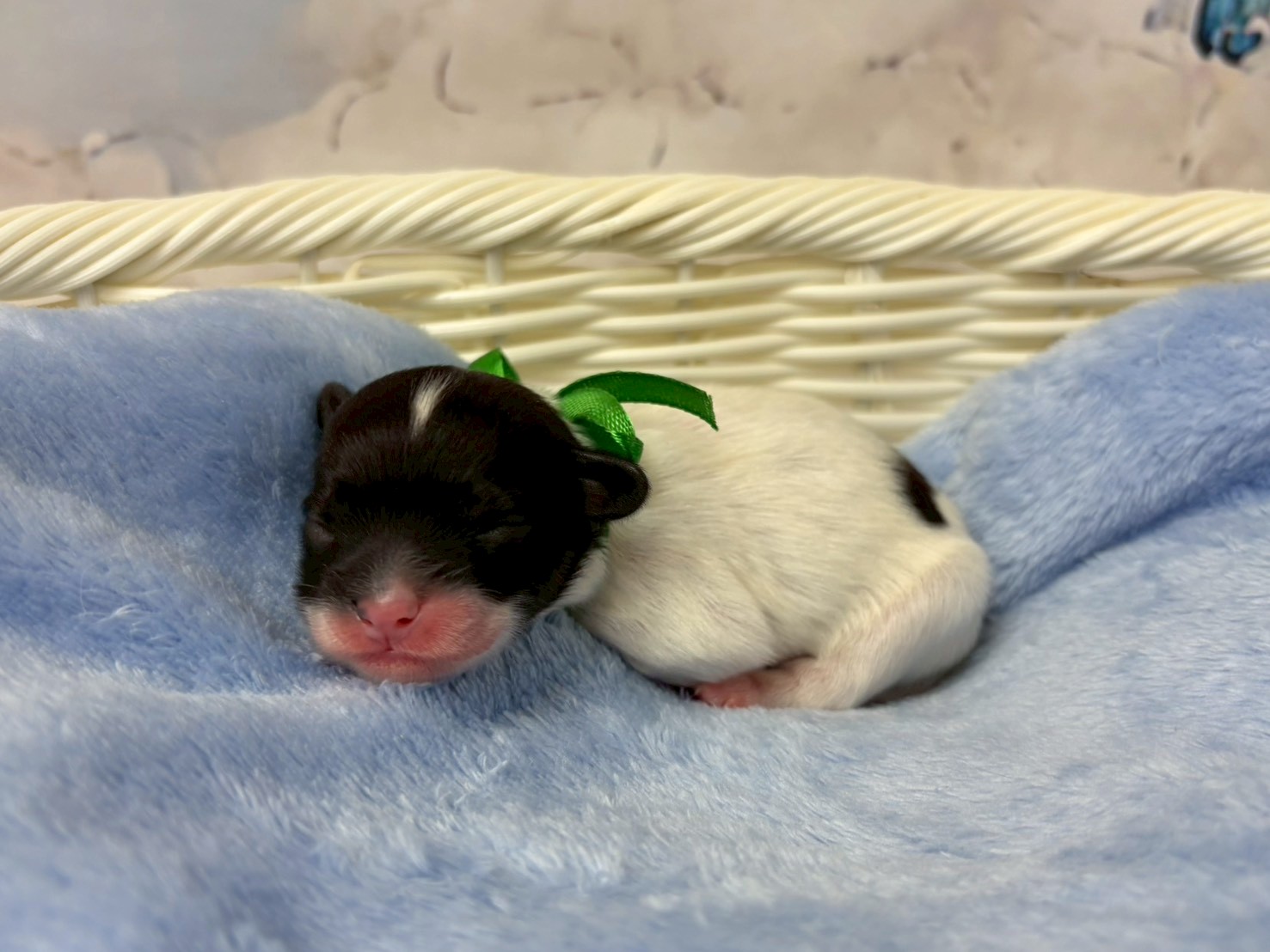 赤ちゃん写真1-2