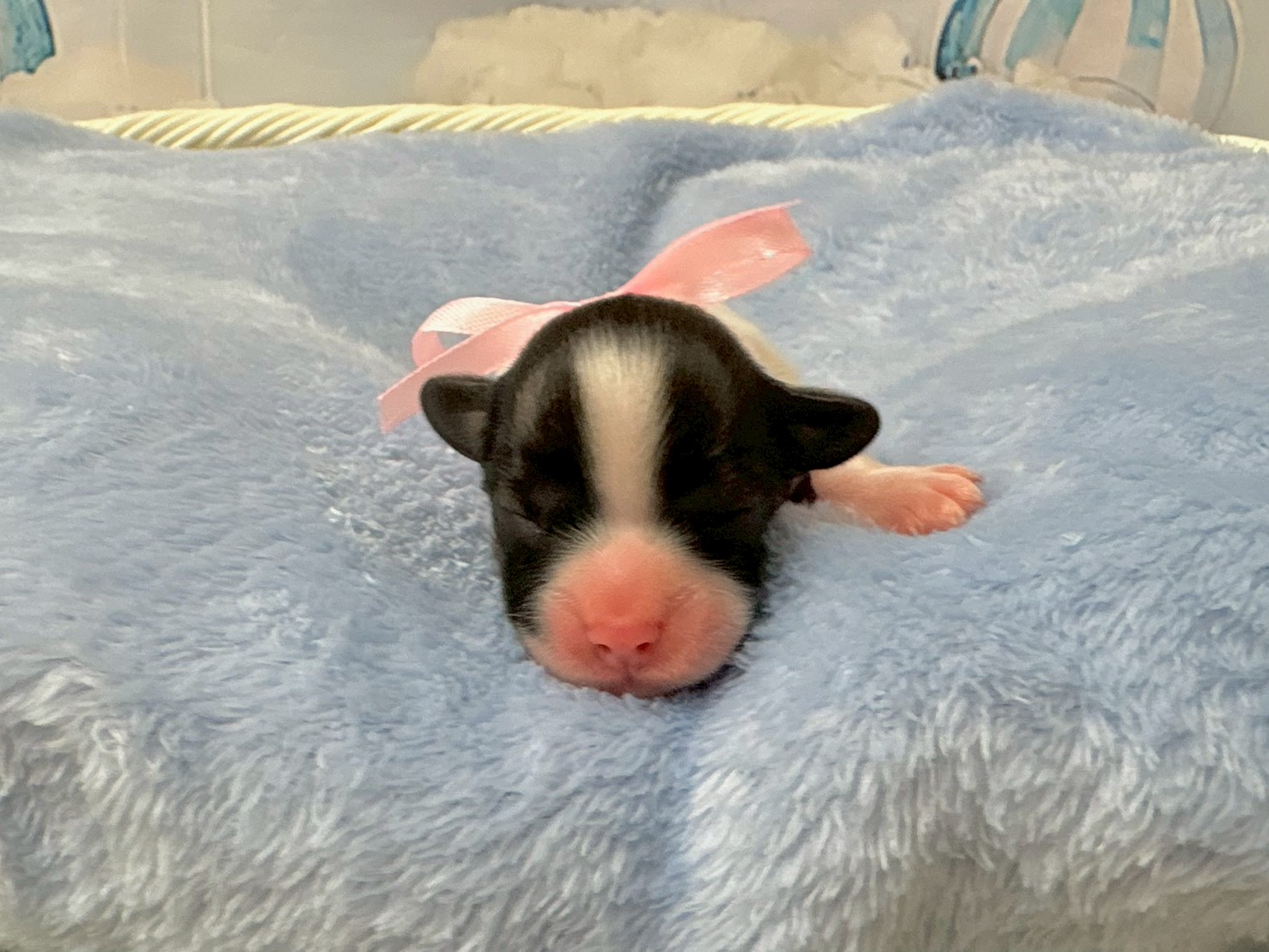 赤ちゃん写真1-1