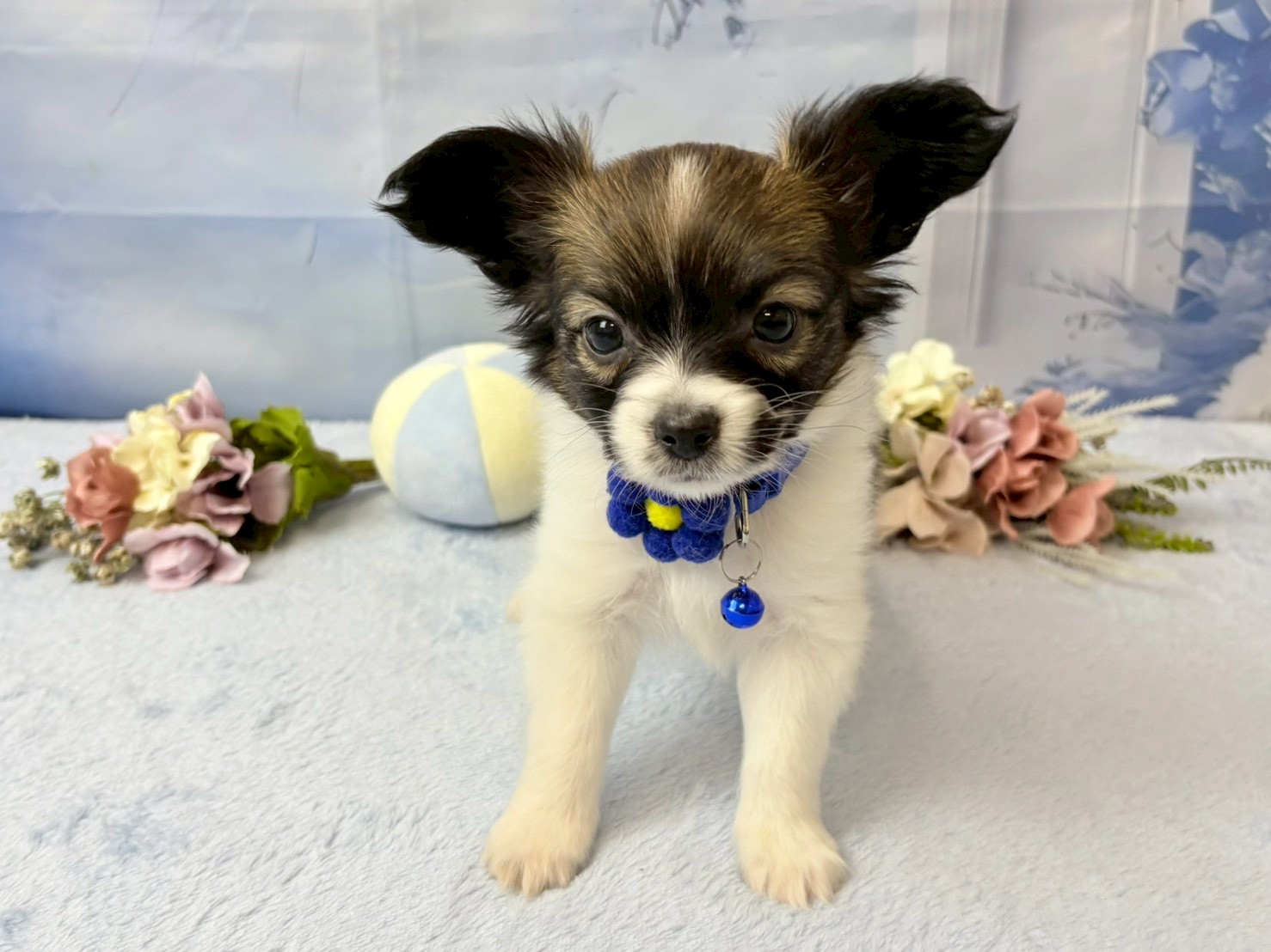 赤ちゃん写真2-1