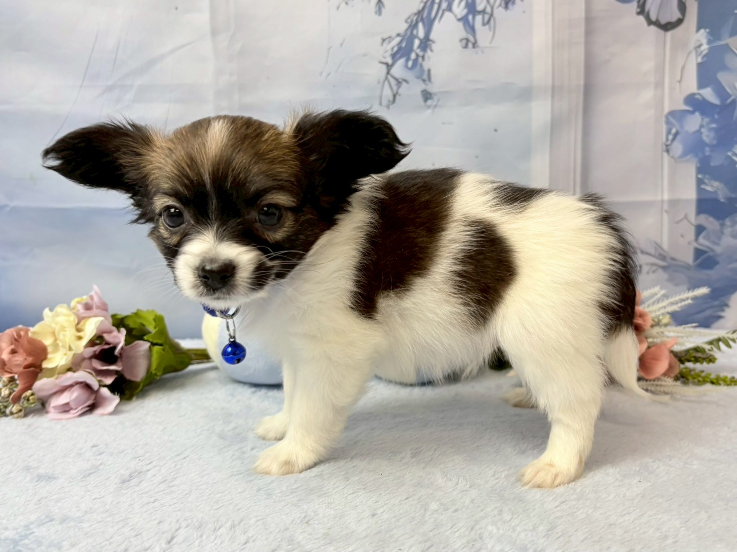 赤ちゃん写真2-2