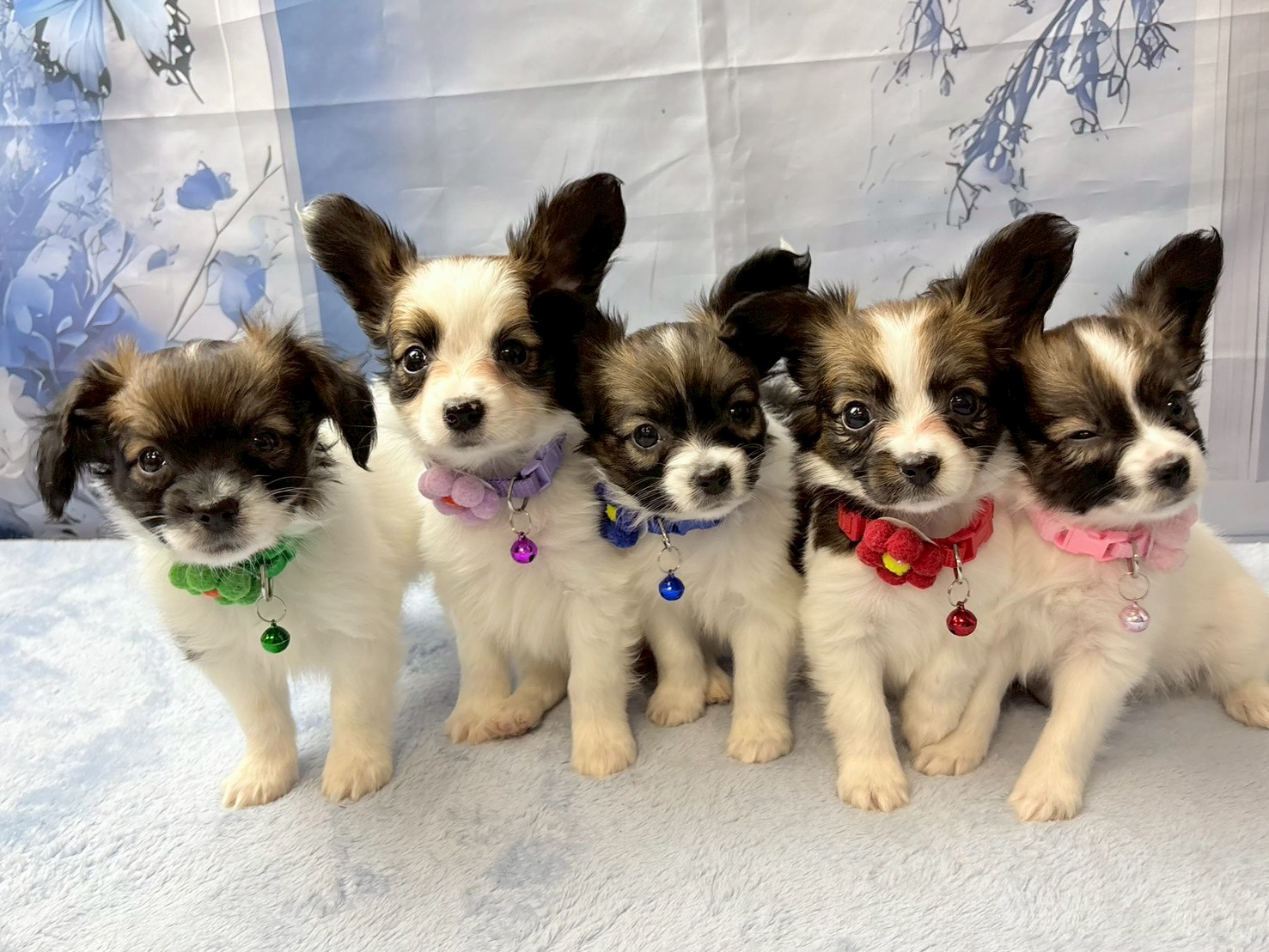 赤ちゃん写真2-3