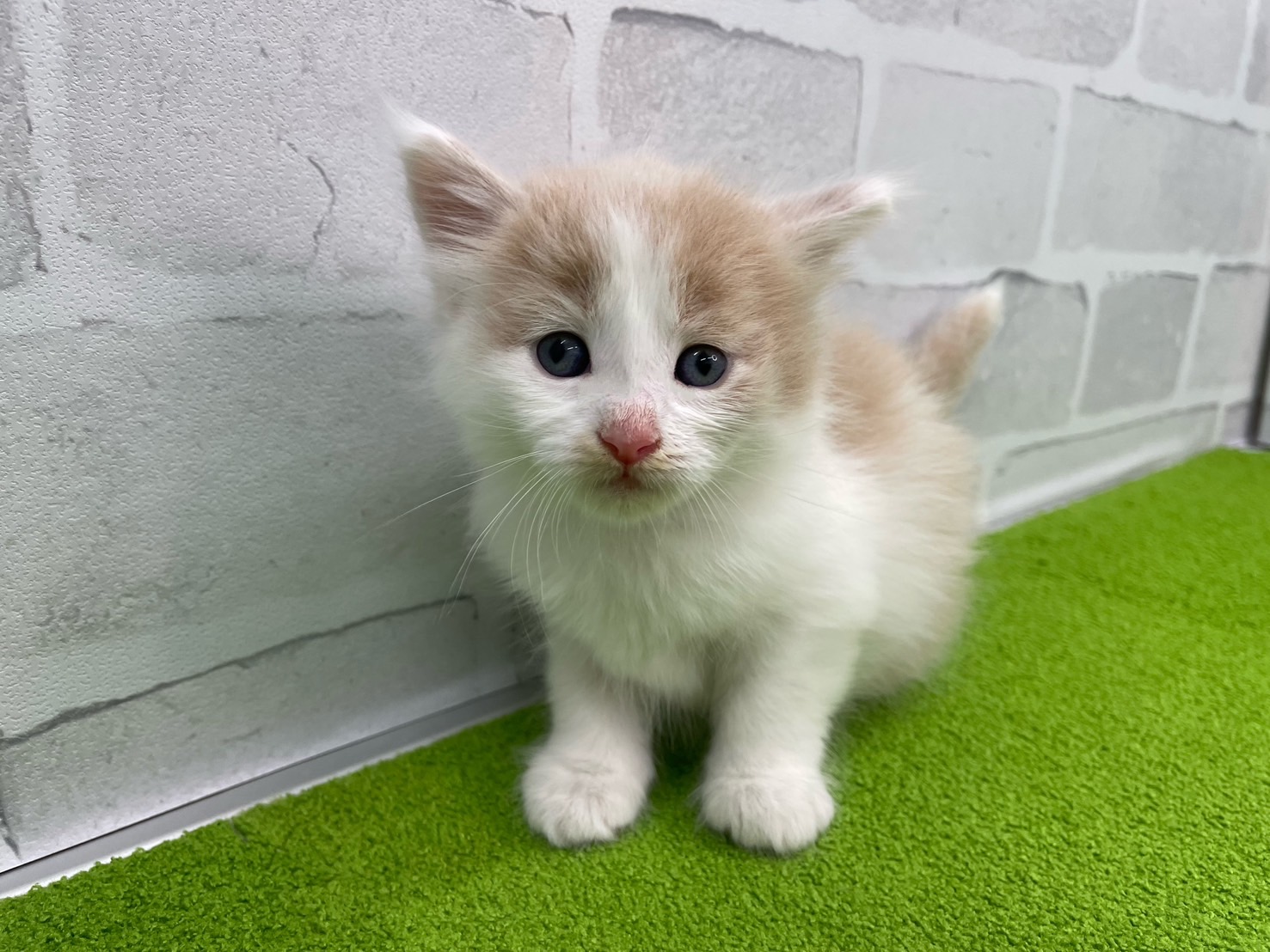 赤ちゃん写真2-1