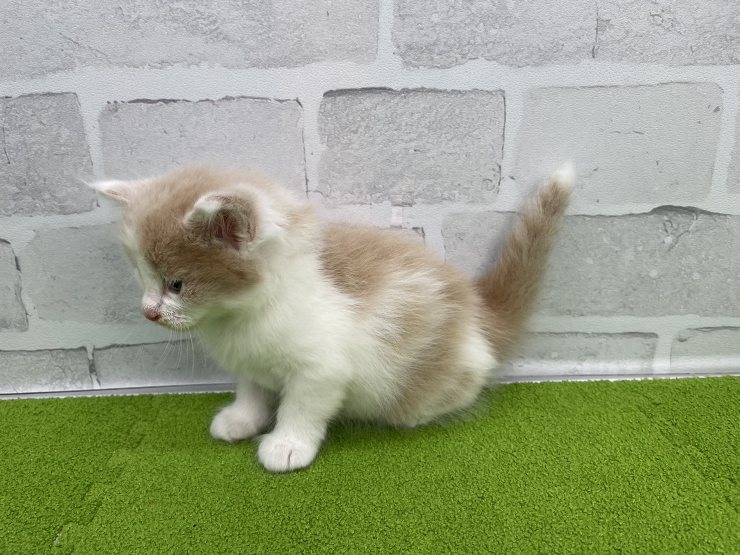 赤ちゃん写真2-2