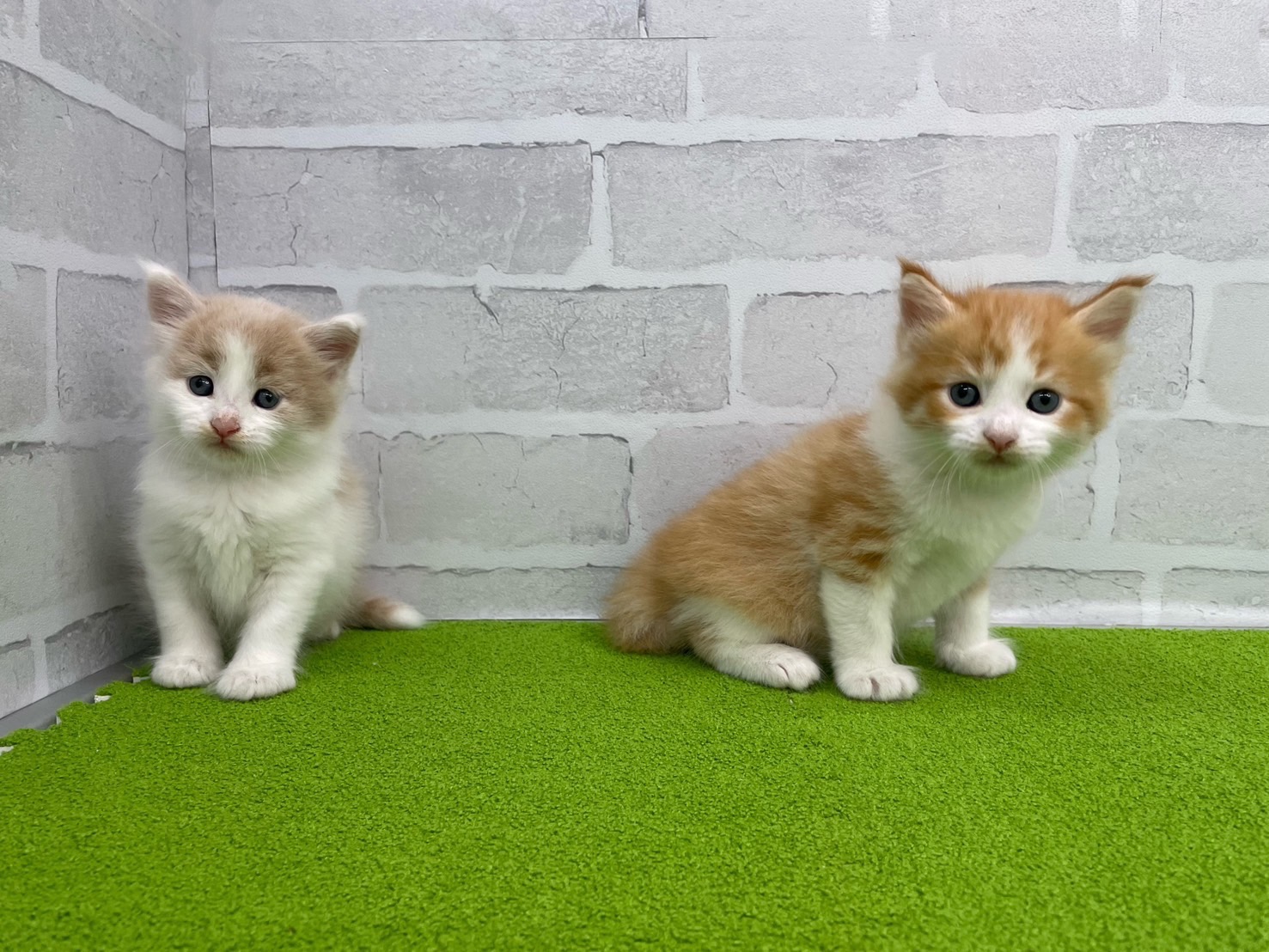 赤ちゃん写真2-3