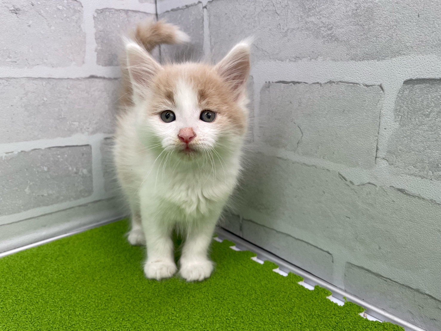 赤ちゃん写真3-1