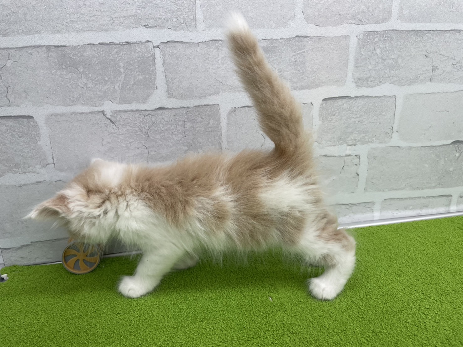 赤ちゃん写真3-2