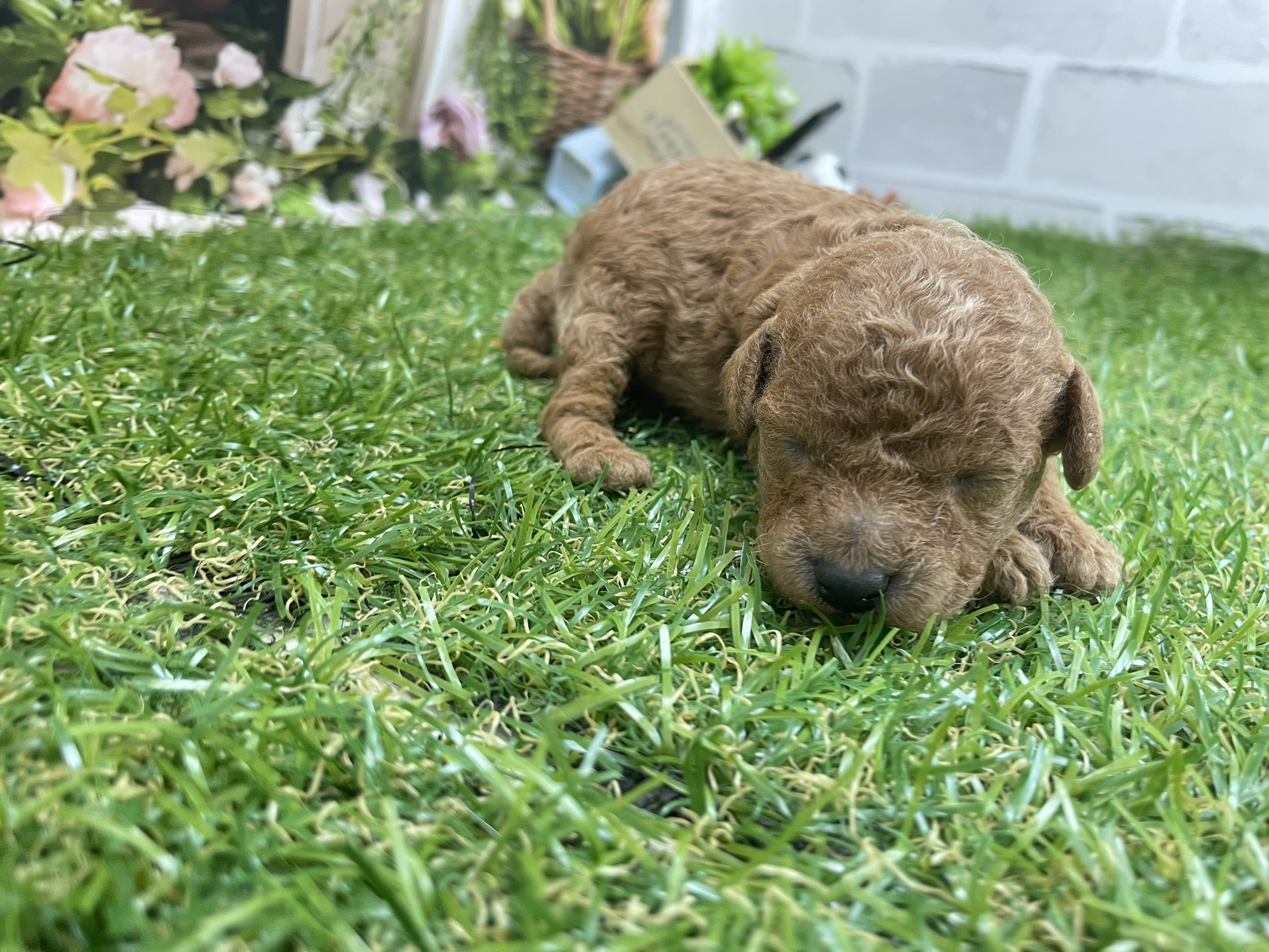 赤ちゃん写真1-1