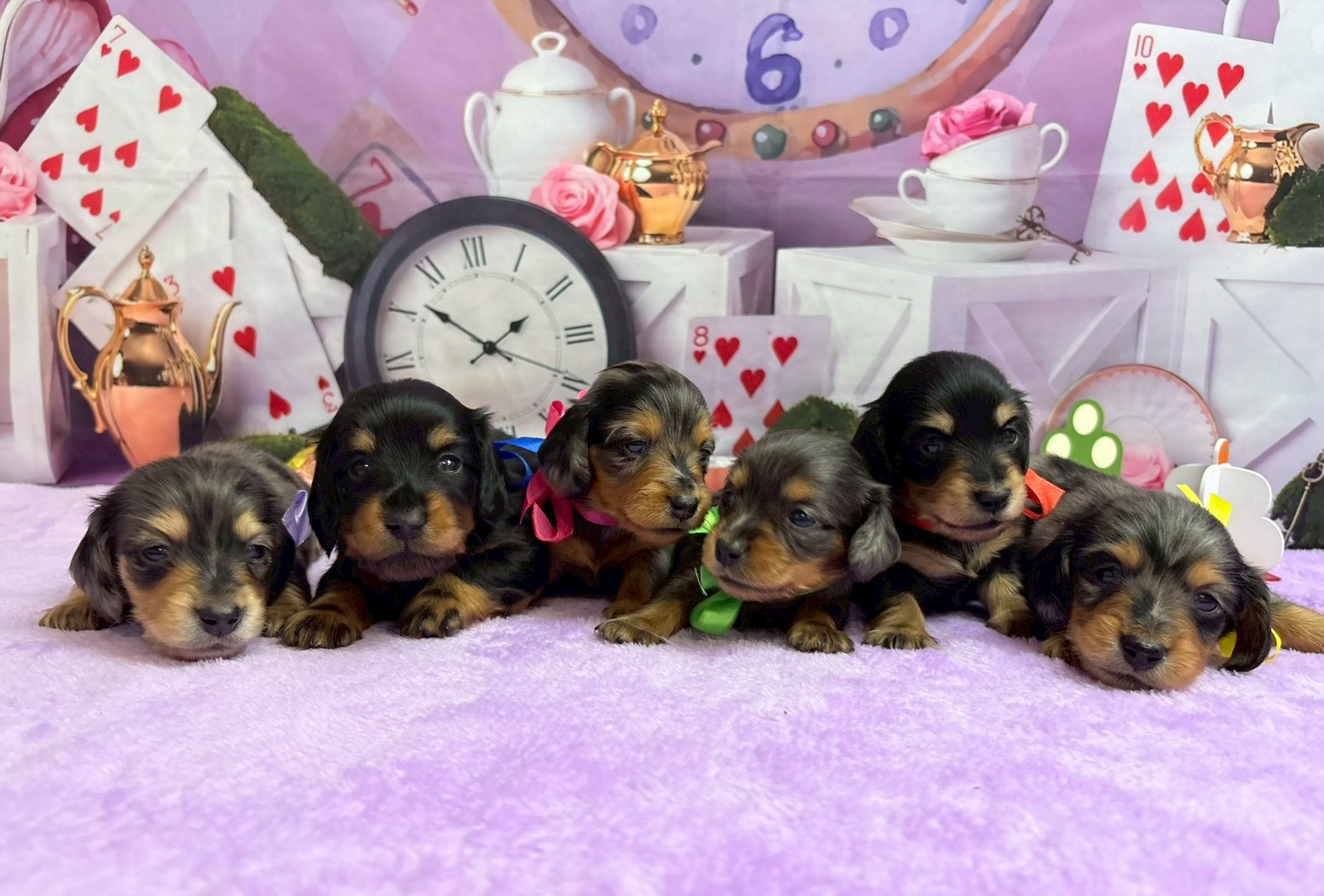 赤ちゃん写真2-3