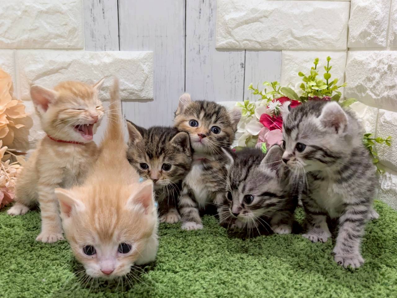赤ちゃん写真2-3