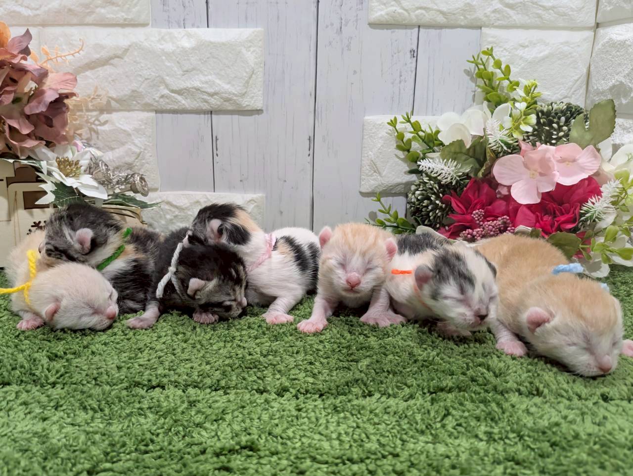 赤ちゃん写真1-3