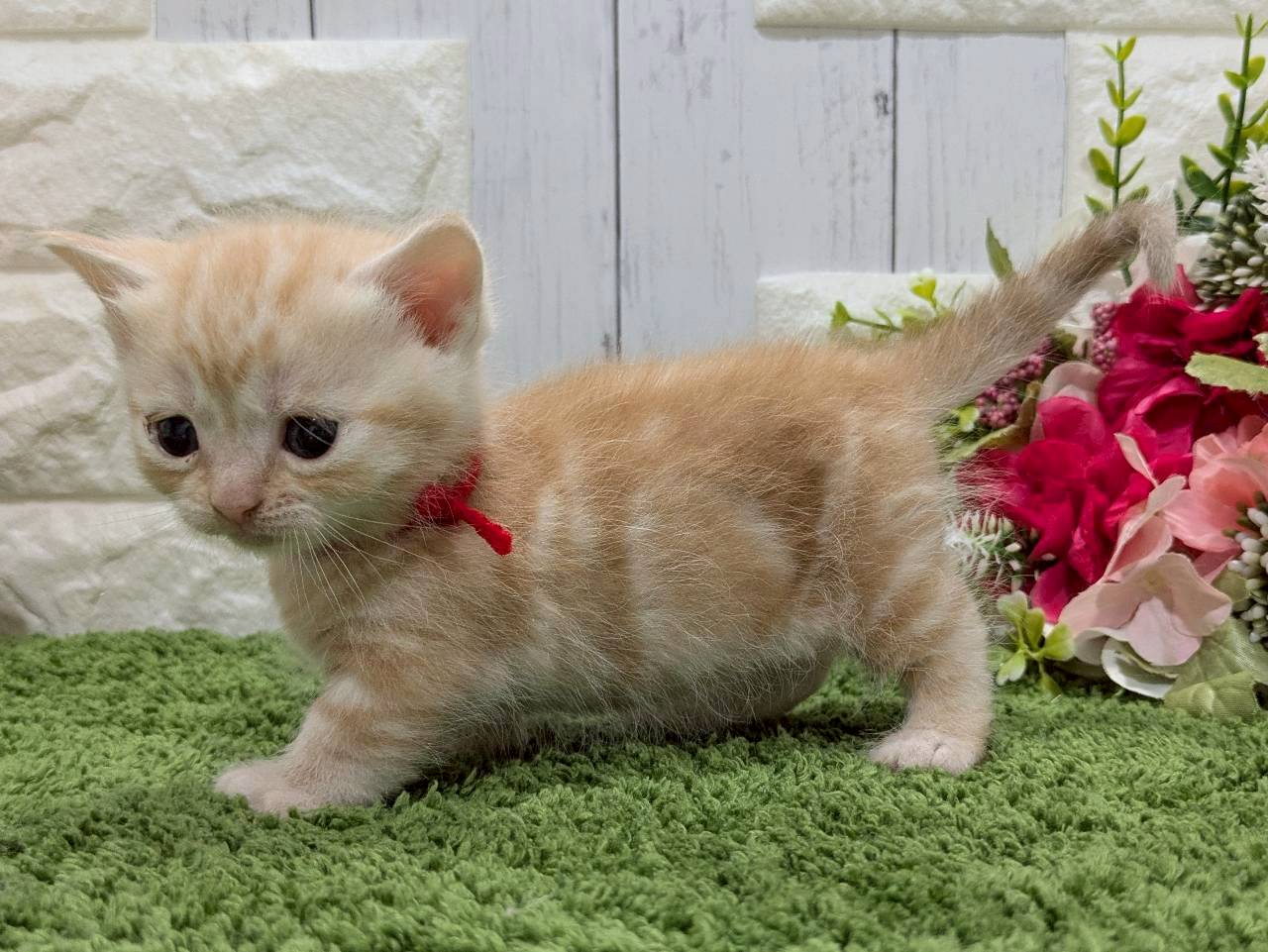 赤ちゃん写真2-2