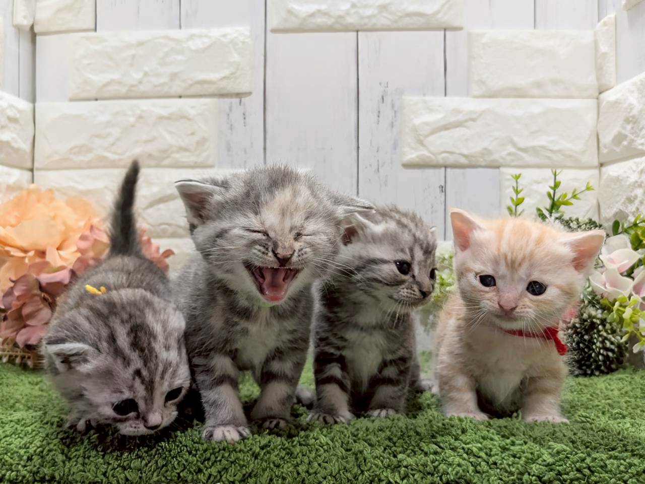 赤ちゃん写真2-3
