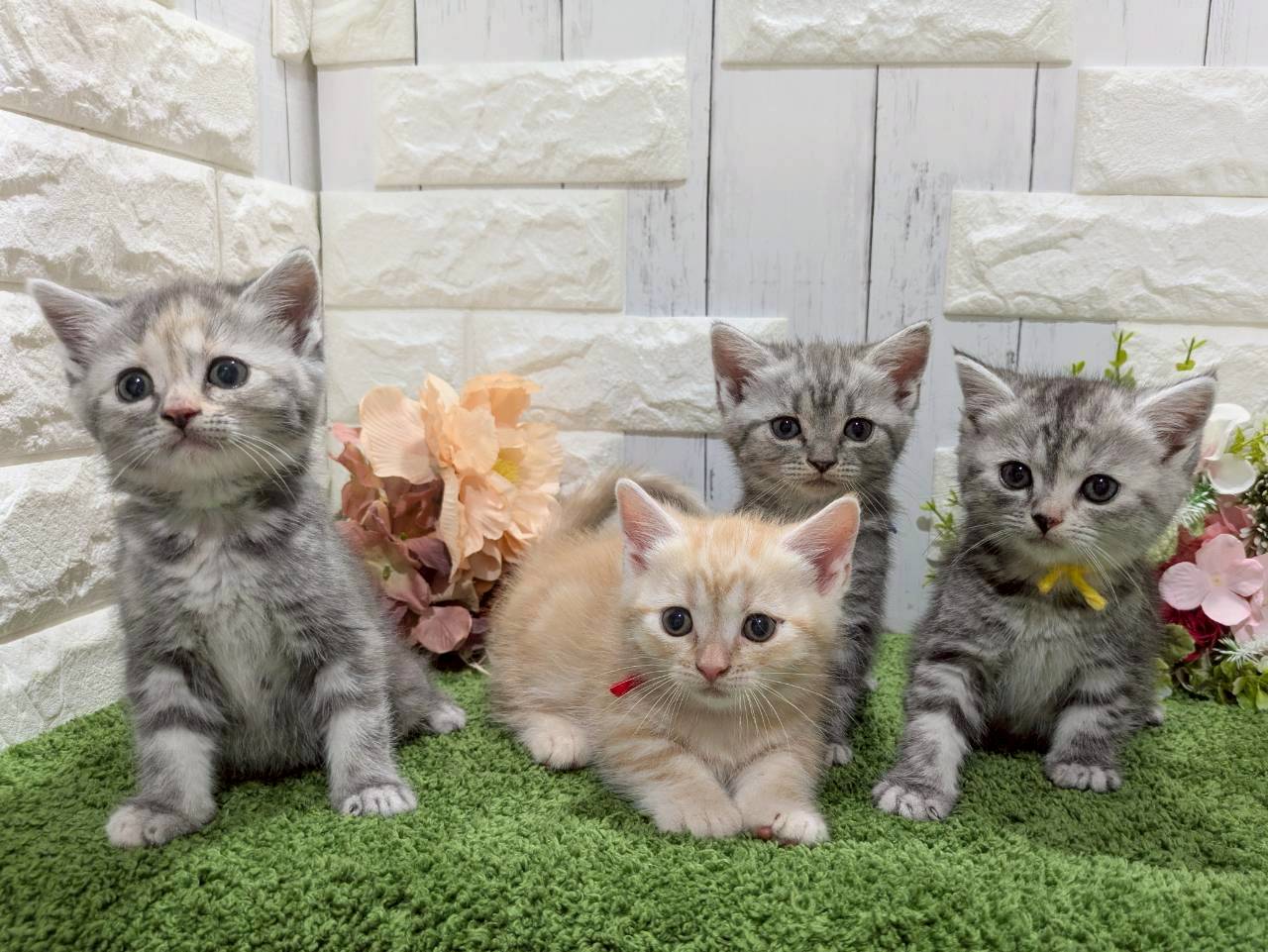 赤ちゃん写真3-3