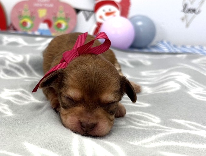 赤ちゃん写真1-1