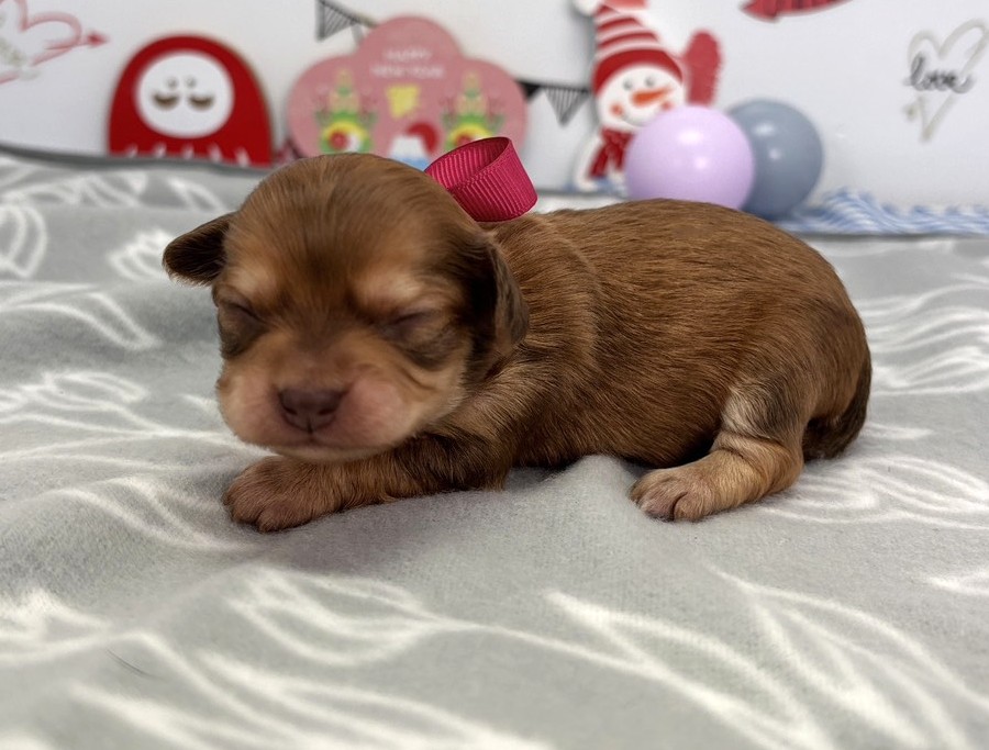 赤ちゃん写真1-2