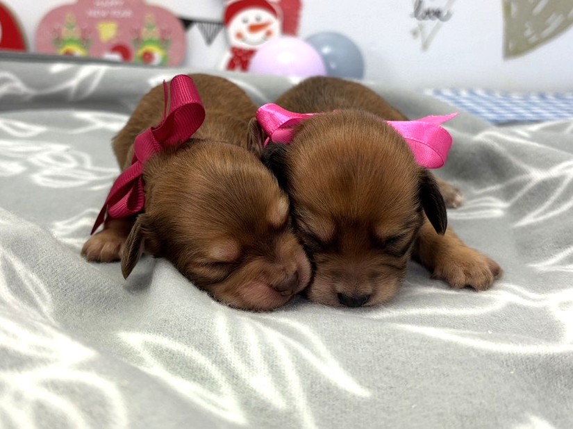 赤ちゃん写真1-3