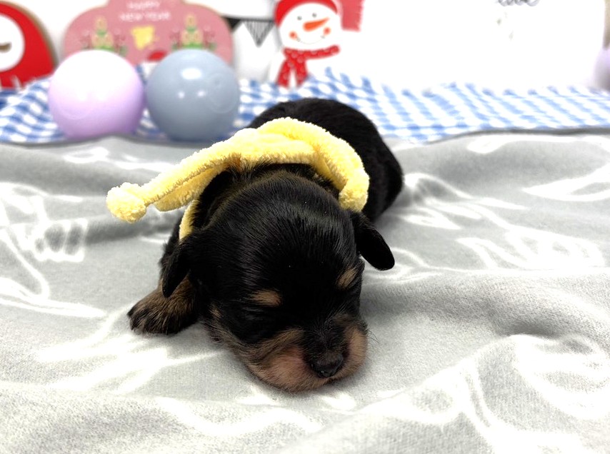 赤ちゃん写真1-1