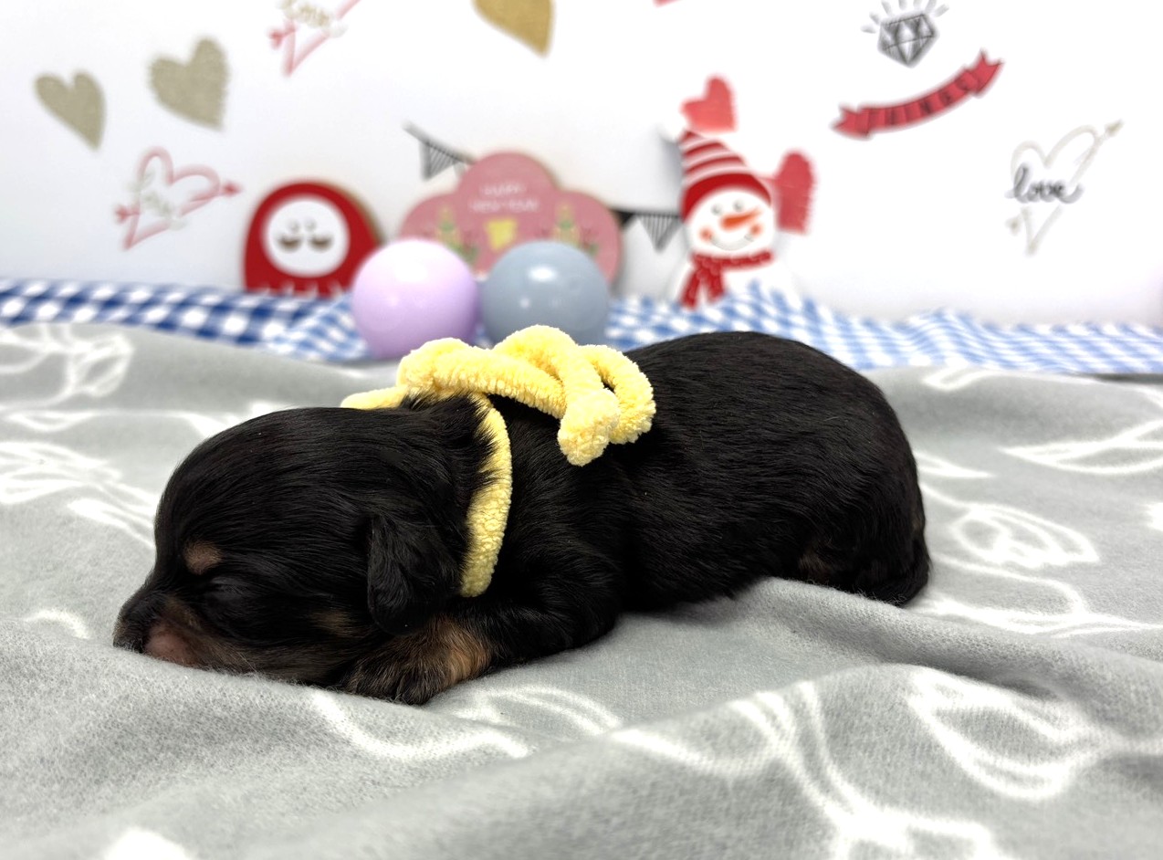 赤ちゃん写真1-2