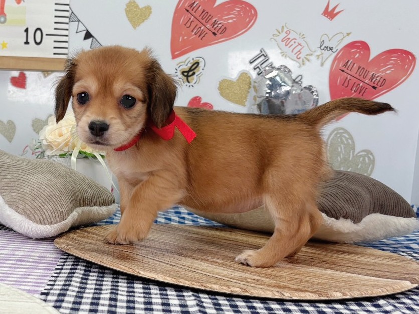 赤ちゃん写真2-2