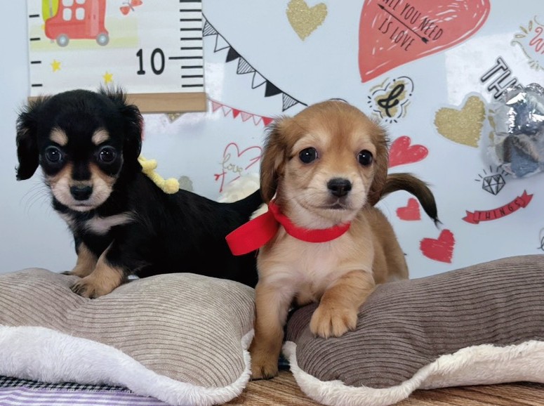 赤ちゃん写真2-3