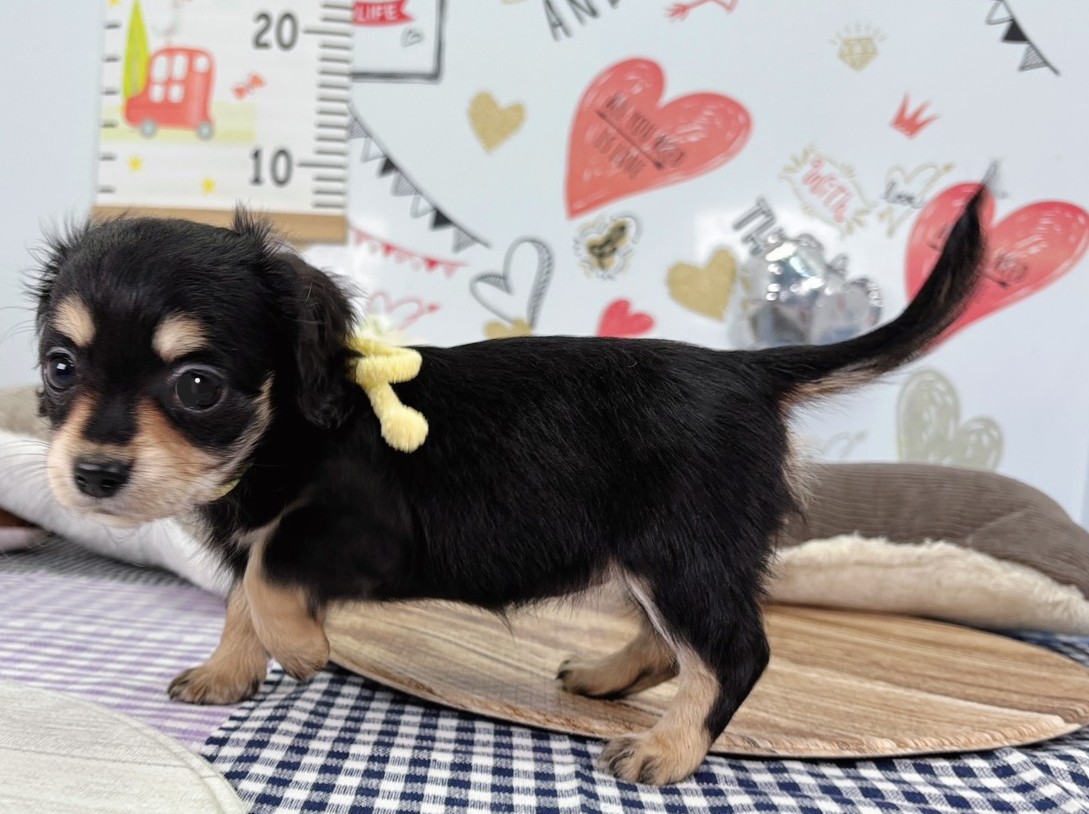 赤ちゃん写真2-2