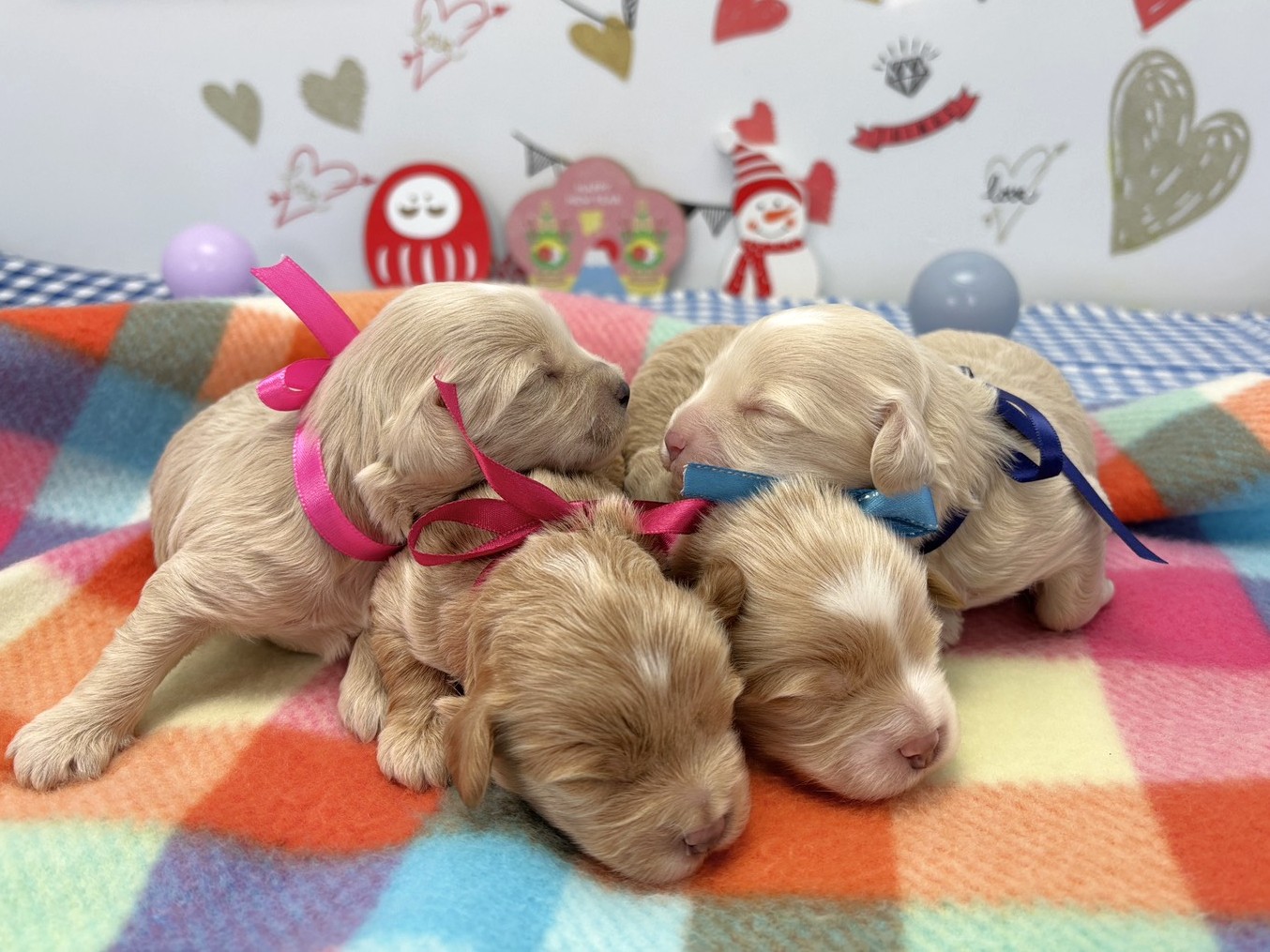 赤ちゃん写真1-3