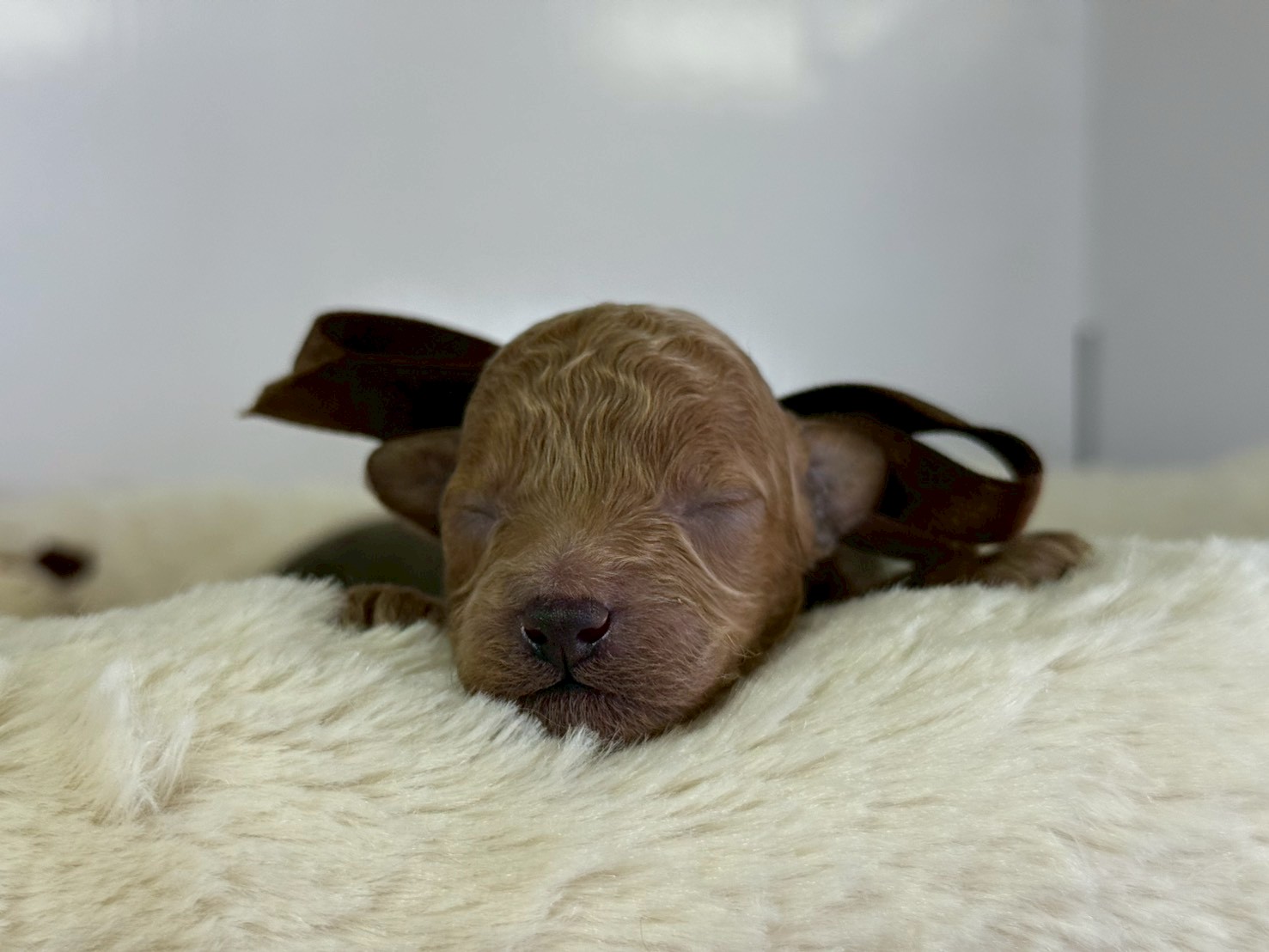 赤ちゃん写真1-1