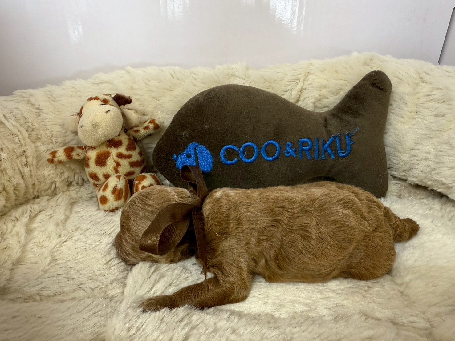 赤ちゃん写真1-2