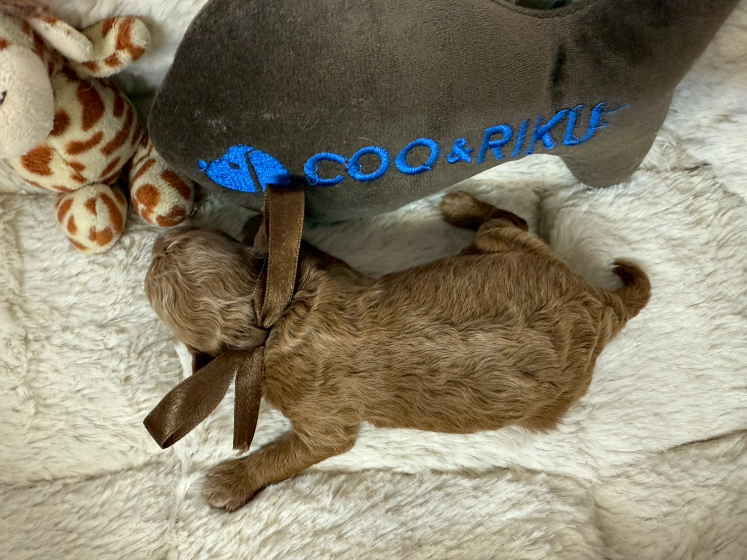 赤ちゃん写真1-3