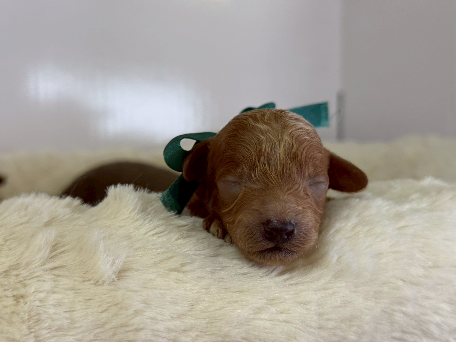 赤ちゃん写真1-1