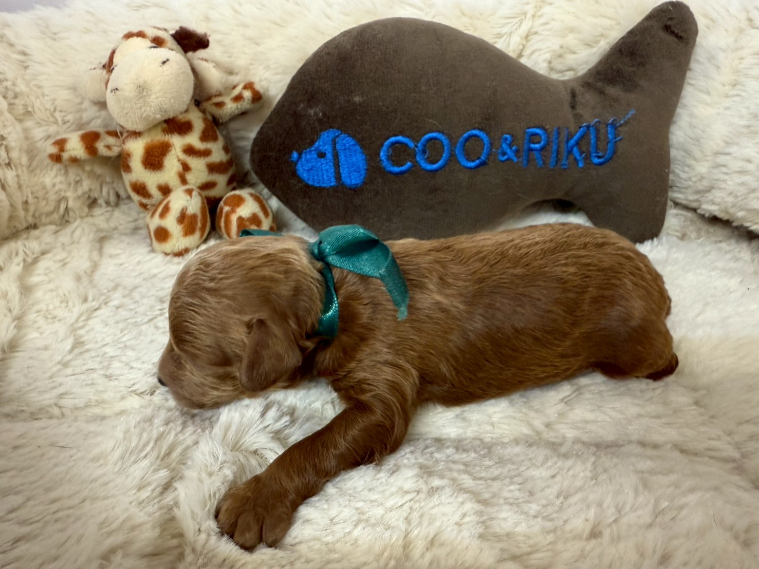 赤ちゃん写真1-2