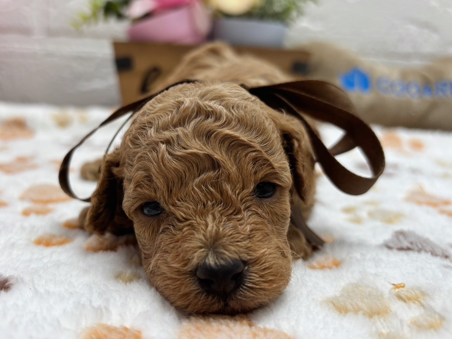 赤ちゃん写真2-1